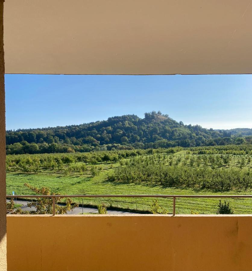 Apartment- Metzingen Metzingen  Dış mekan fotoğraf